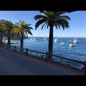 Meet your Posher, Armando